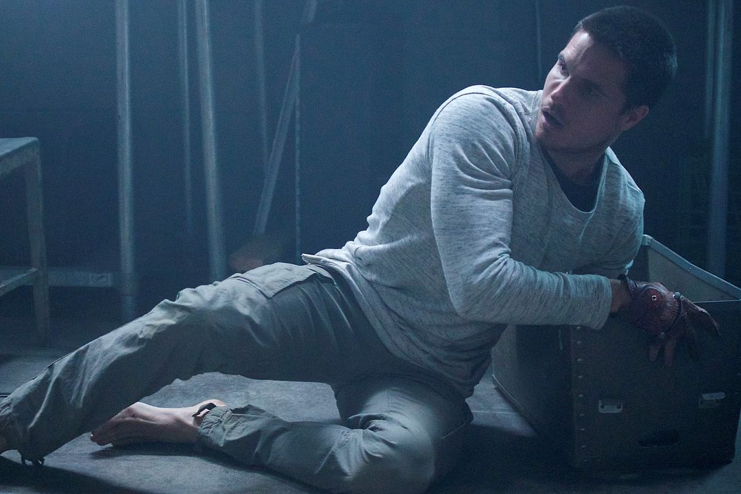 ARQ : Foto Robbie Amell