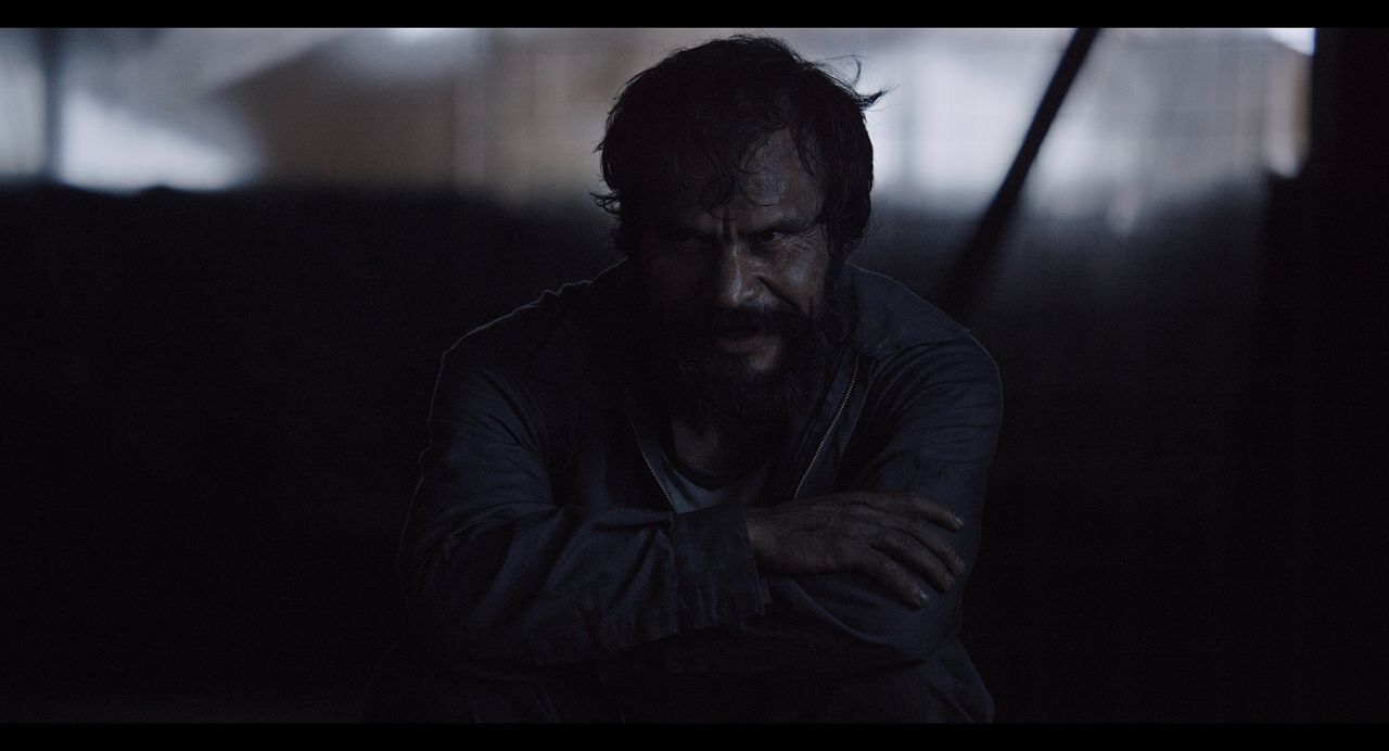 Tenemos la carne : Foto Noé Hernandez