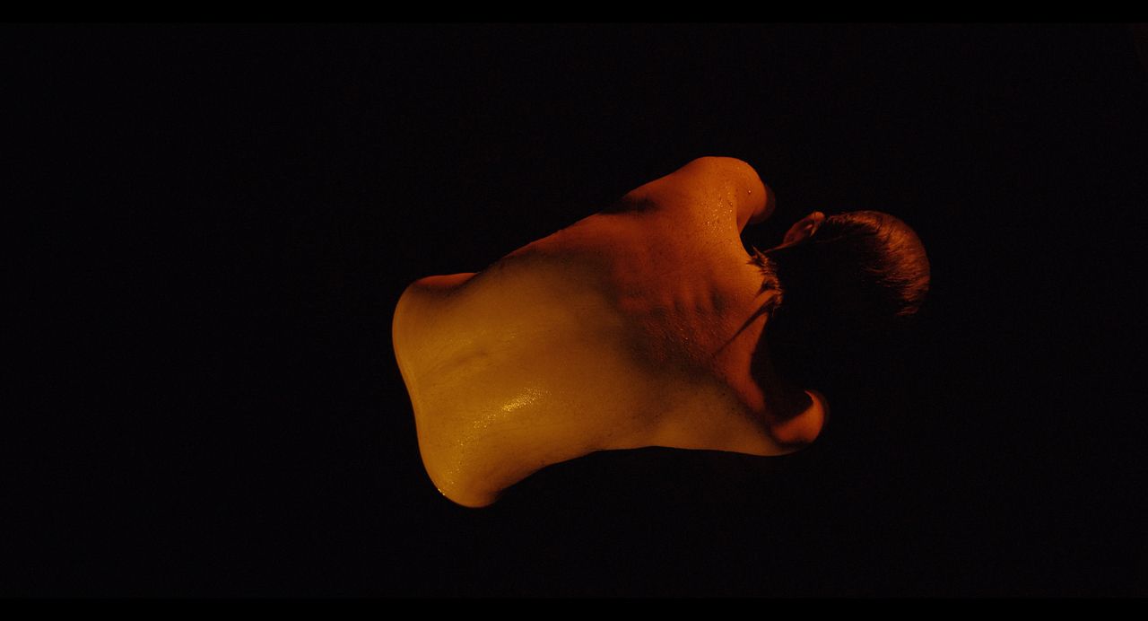 Tenemos la carne : Foto