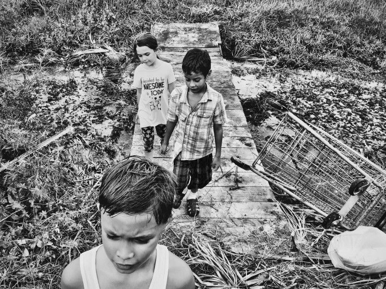 El proyecto Florida : Foto