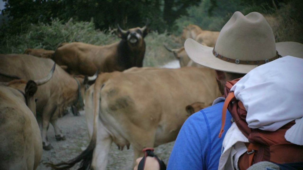 Footprints: El camino de tu vida : Foto