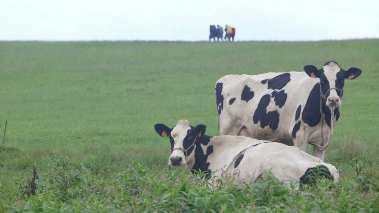 Footprints: El camino de tu vida : Foto