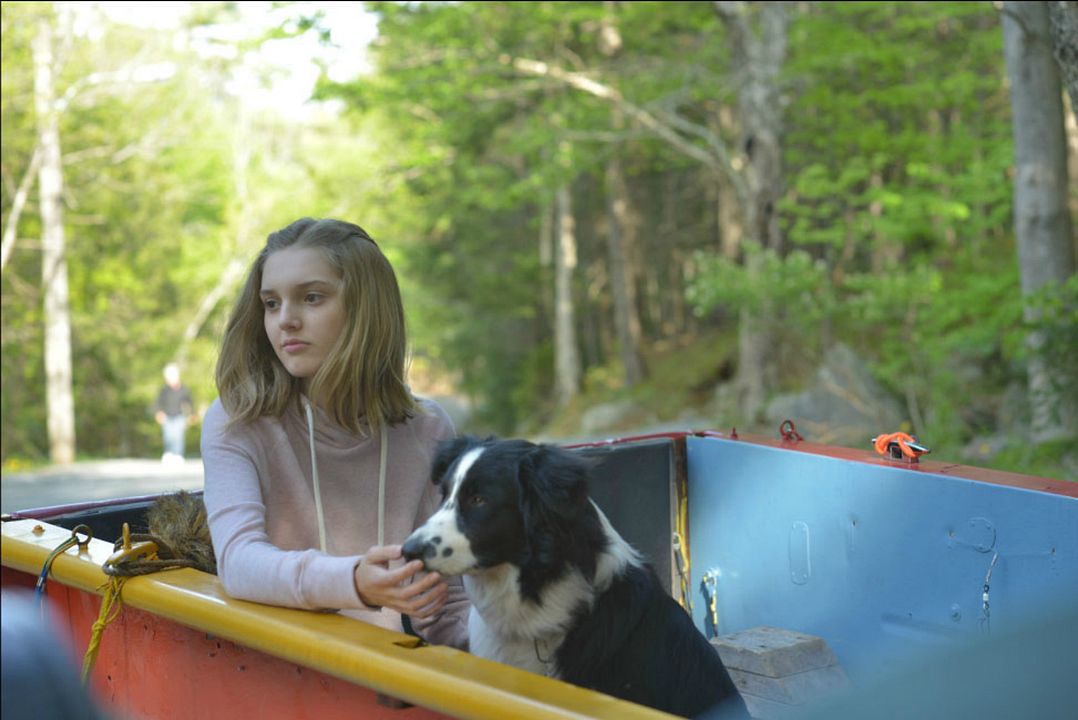 Lo que de verdad importa : Foto