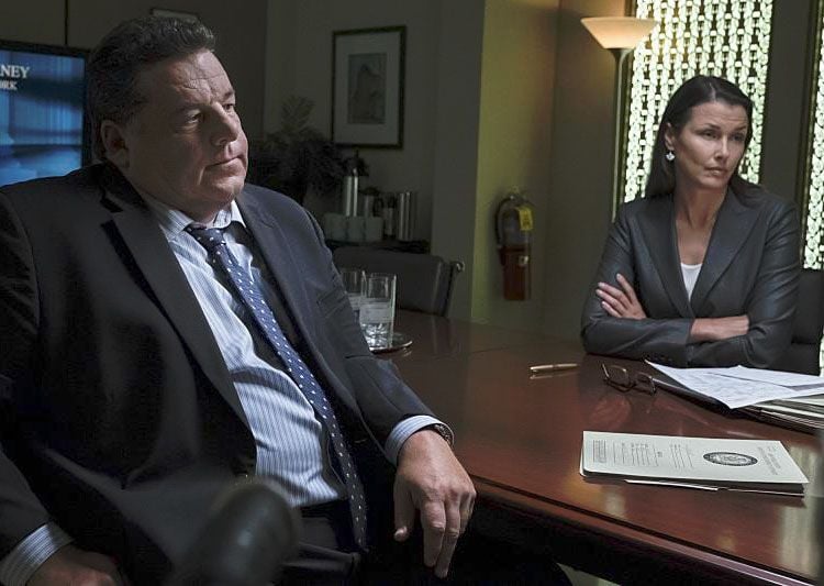 Blue Bloods : Foto Bridget Moynahan