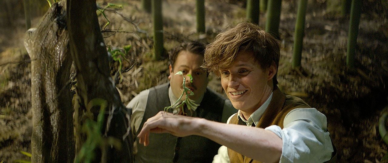 Animales fantásticos y dónde encontrarlos : Foto Dan Fogler, Eddie Redmayne