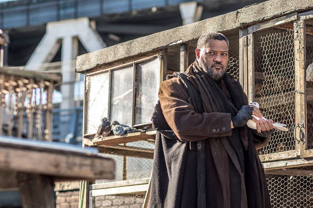 John Wick: Un nuevo día para matar : Foto Laurence Fishburne