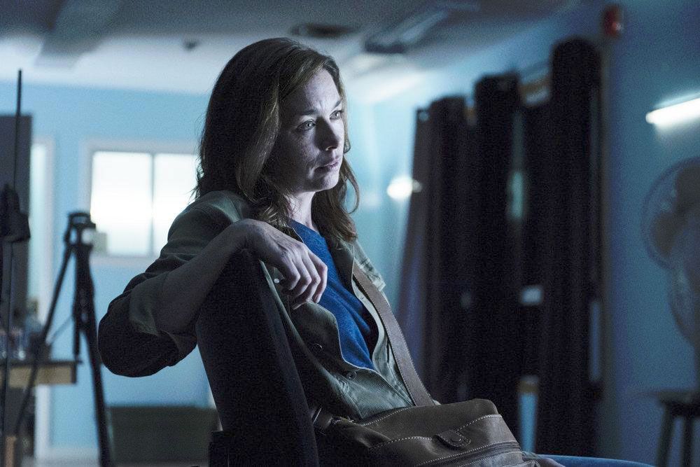 Foto Julianne Nicholson