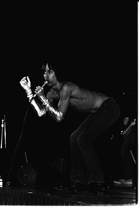 Gimme Danger : Foto Iggy Pop