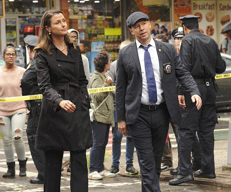 Blue Bloods : Foto Bridget Moynahan
