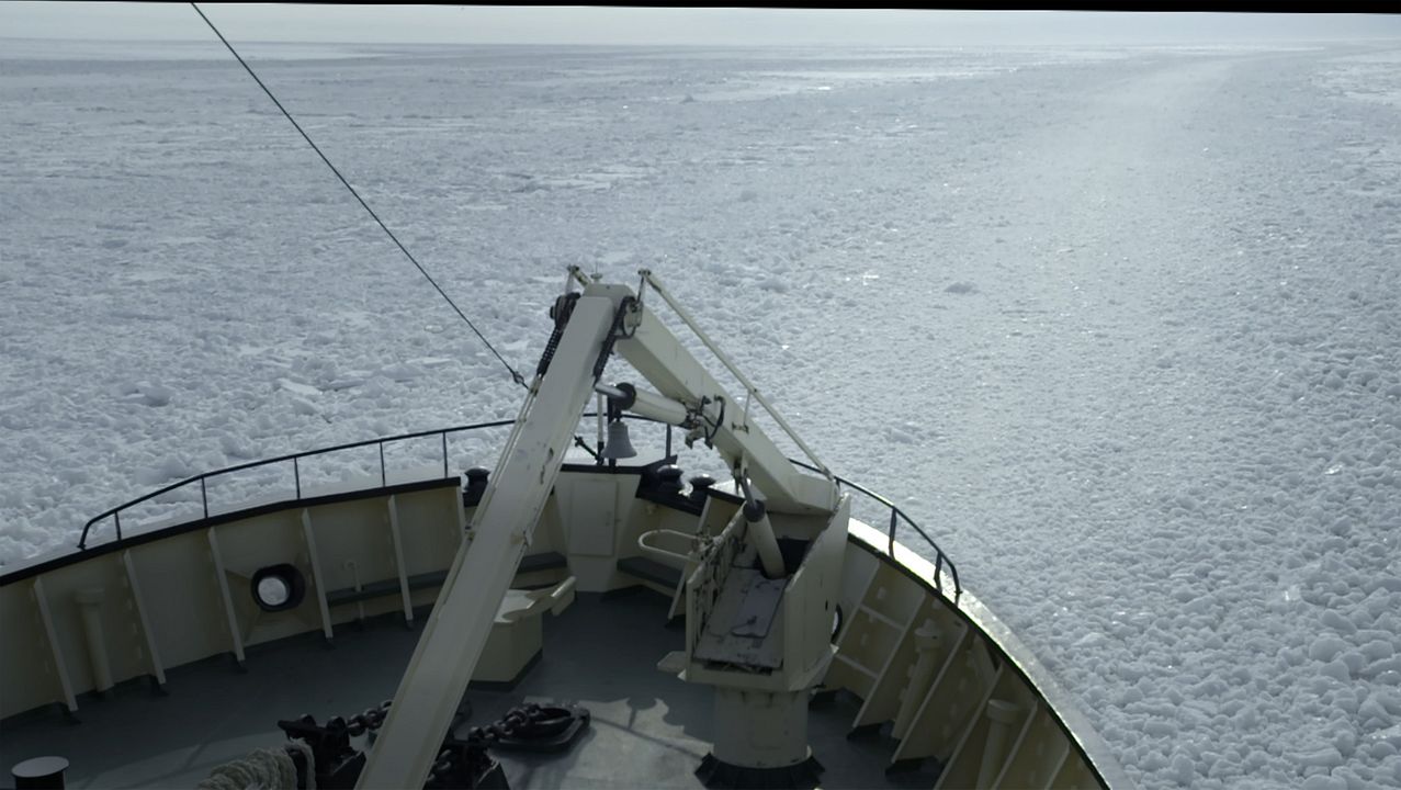 En el mismo barco : Foto