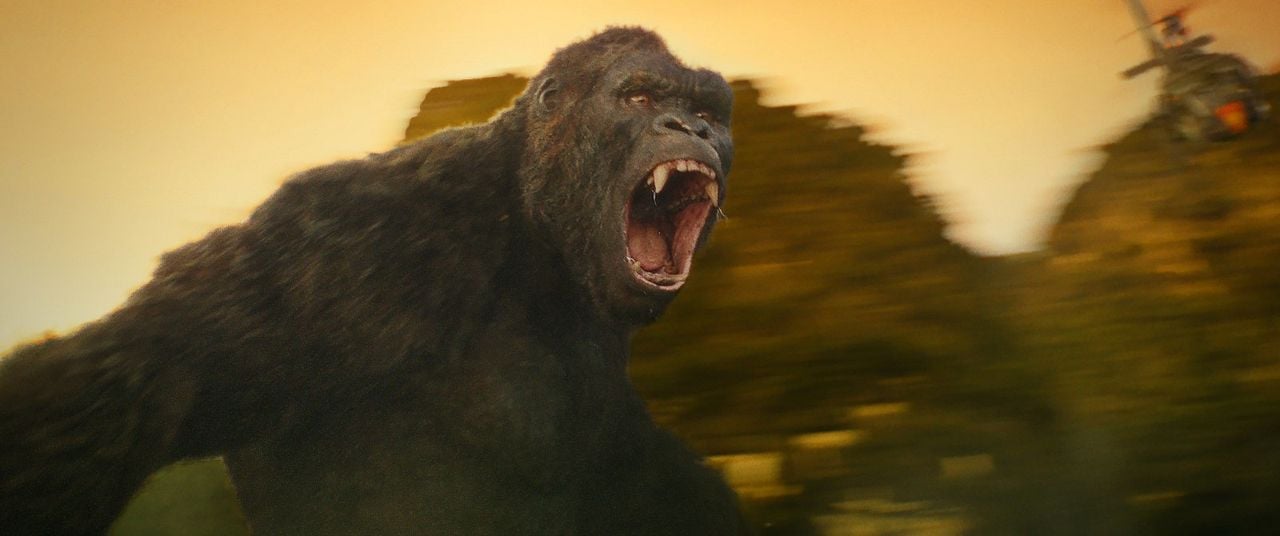 Kong: La isla calavera : Foto