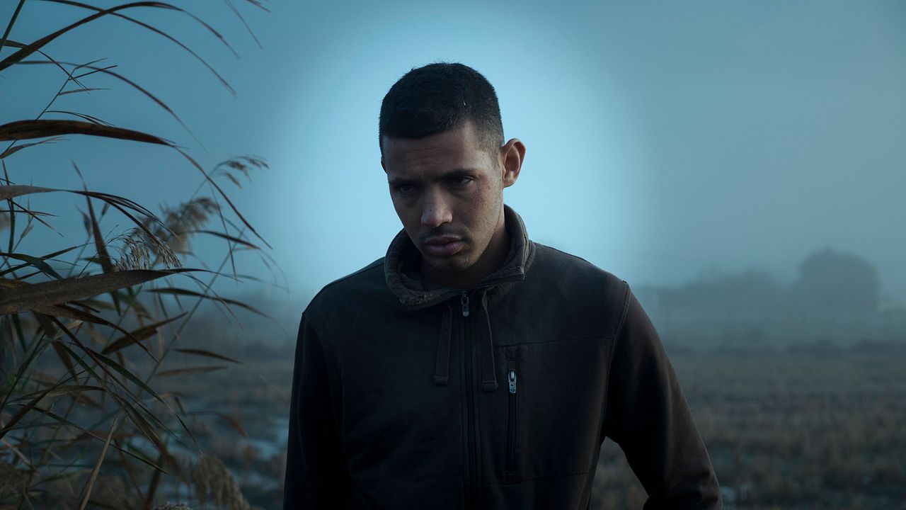 La mejor opción : Foto