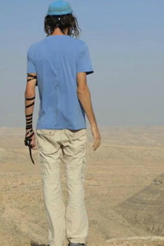 The Settlers : Póster