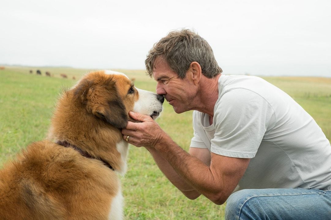 La razón de estar contigo : Foto Dennis Quaid