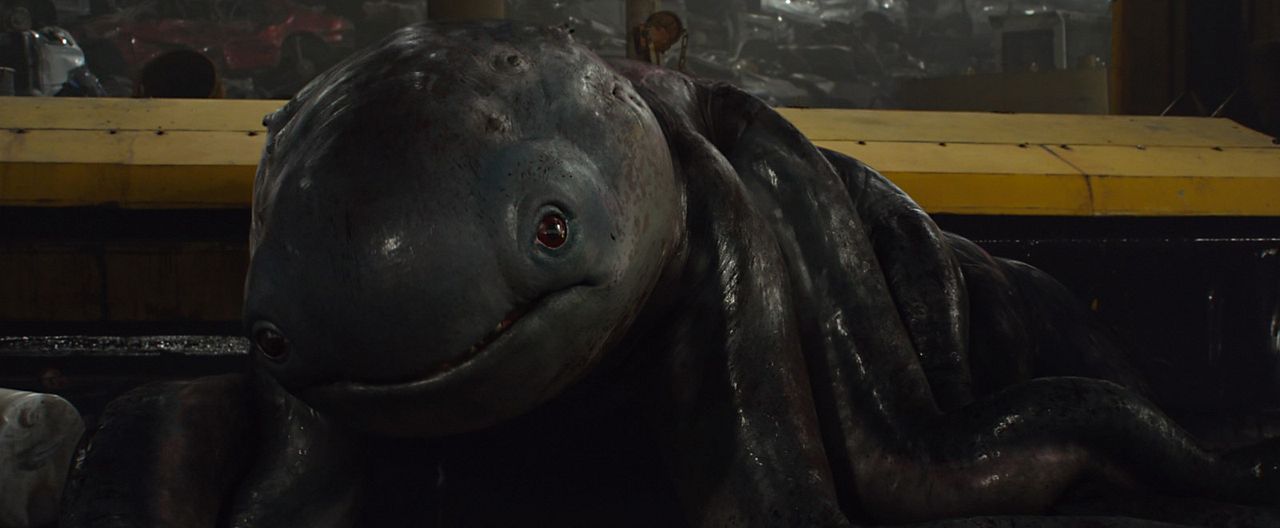 Monster Trucks : Foto