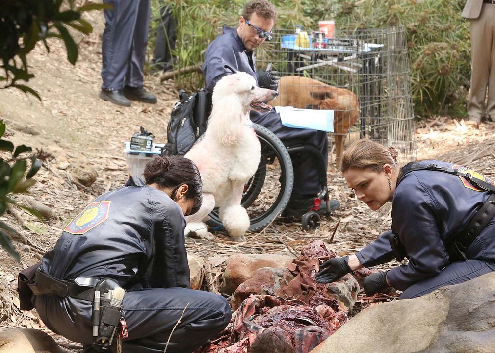 Bones : Foto Emily Deschanel