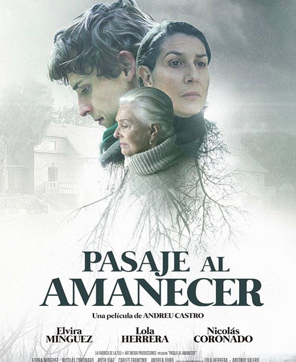Pasaje al amanecer : Póster