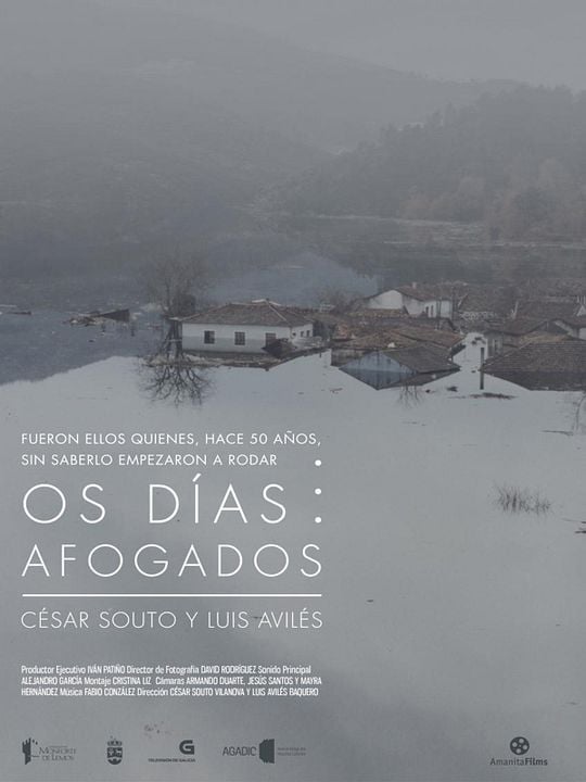 Os dias afogados : Póster