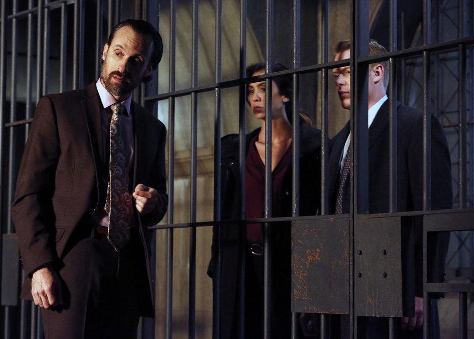 The Blacklist : Foto Diego Klattenhoff, Mozhan Marnò