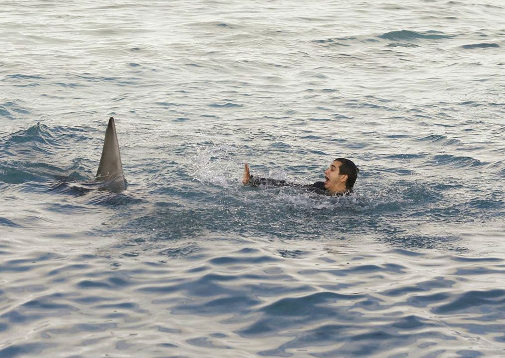 Scorpion : Foto Elyes Gabel