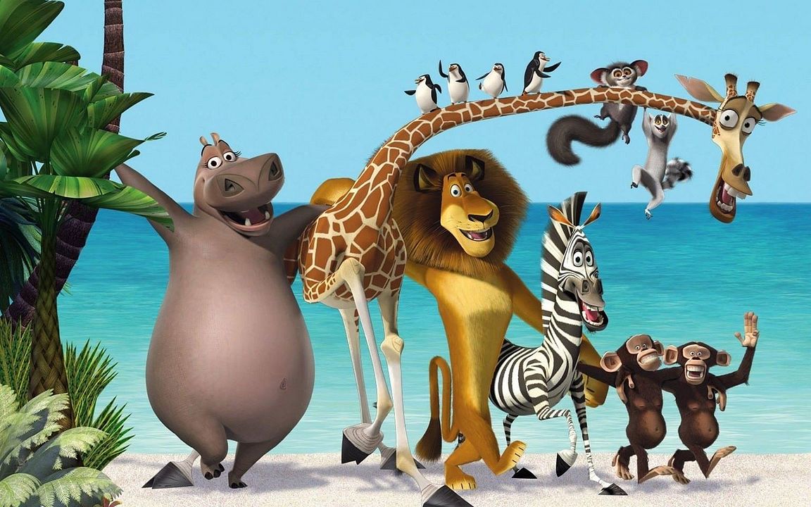 Madagascar : Foto