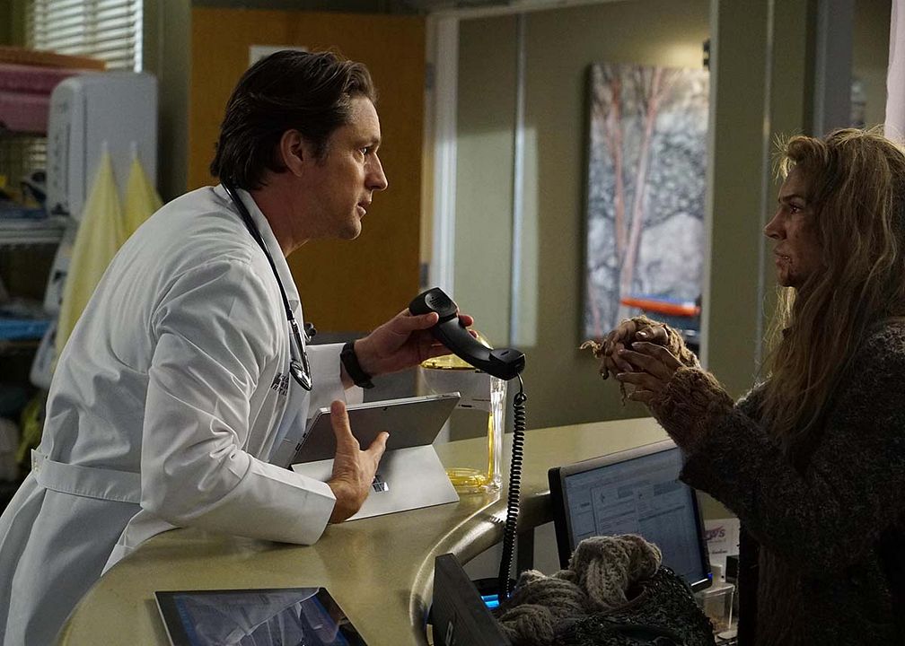 Grey's Anatomy : Foto Martin Henderson