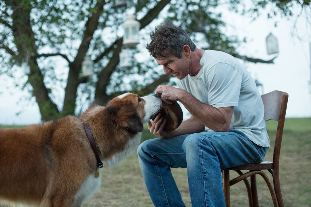 La razón de estar contigo : Foto Dennis Quaid