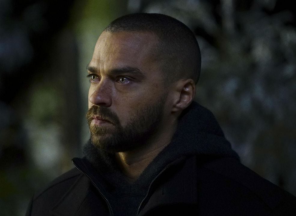 Grey's Anatomy : Foto Jesse Williams