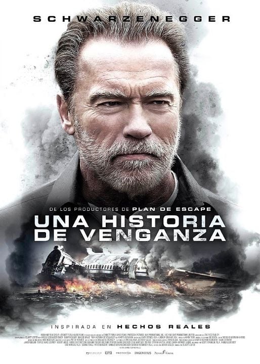 Una historia de venganza : Póster