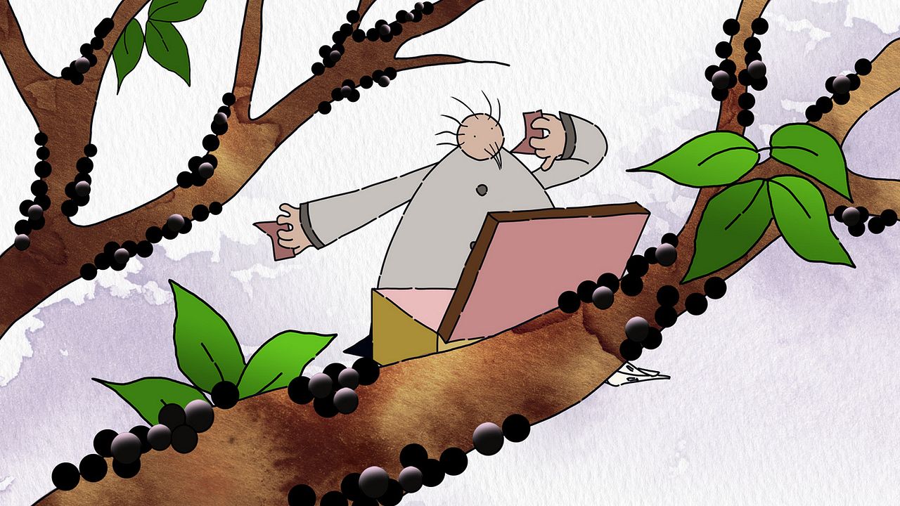 Historia antes de una historia : Foto