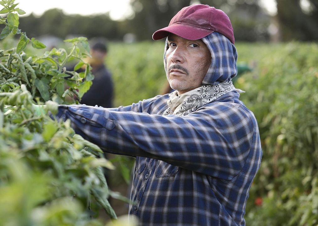 Foto Benito Martinez