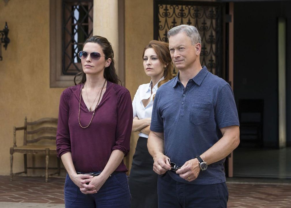 Mentes criminales: sin fronteras : Foto Gary Sinise