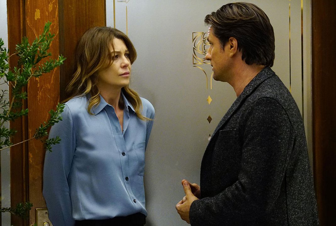 Grey's Anatomy : Foto Ellen Pompeo, Martin Henderson