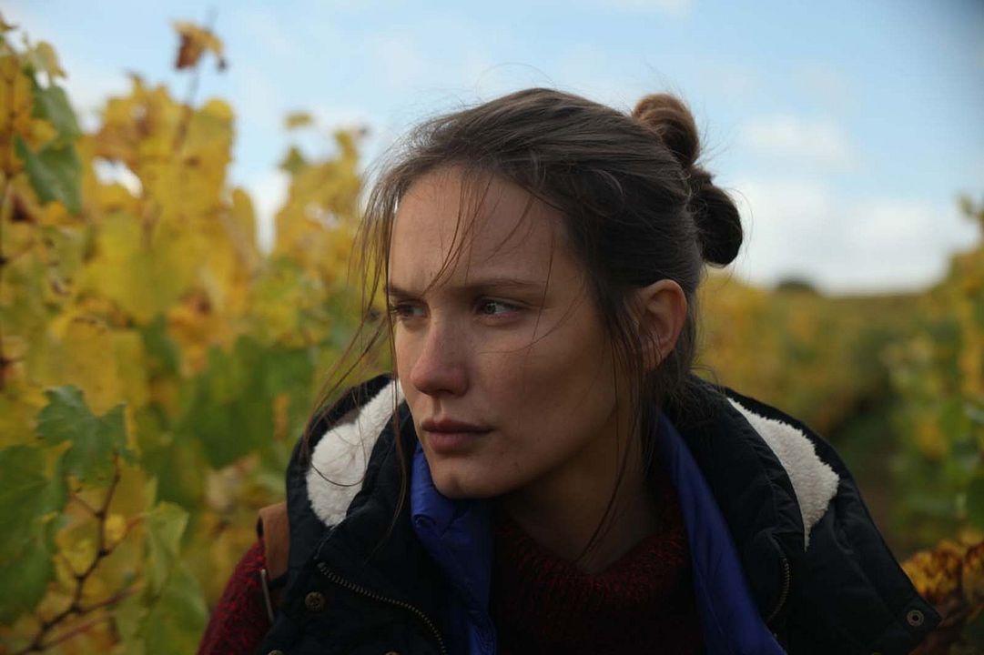 El viñedo que nos une : Foto Ana Girardot