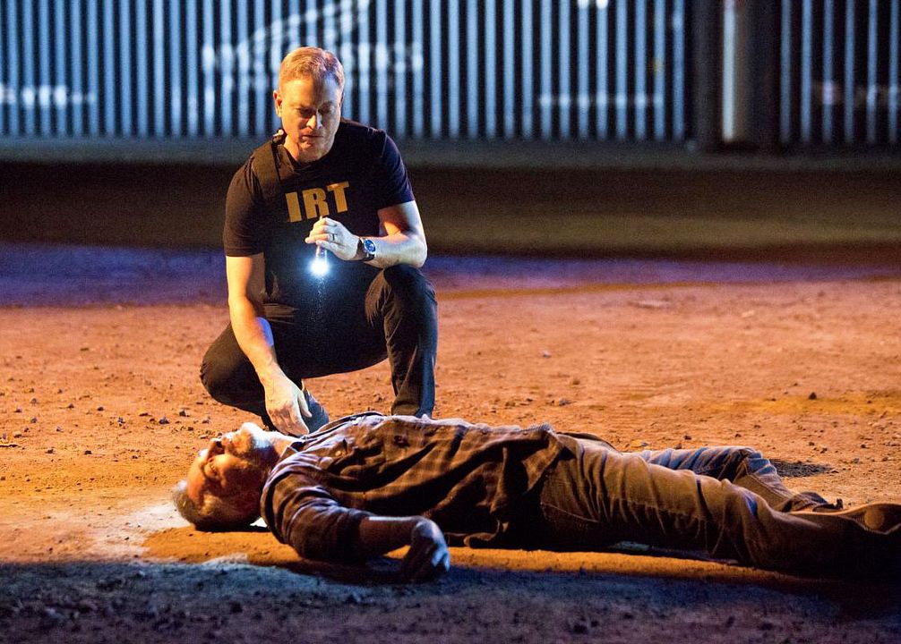 Mentes criminales: sin fronteras : Foto Gary Sinise
