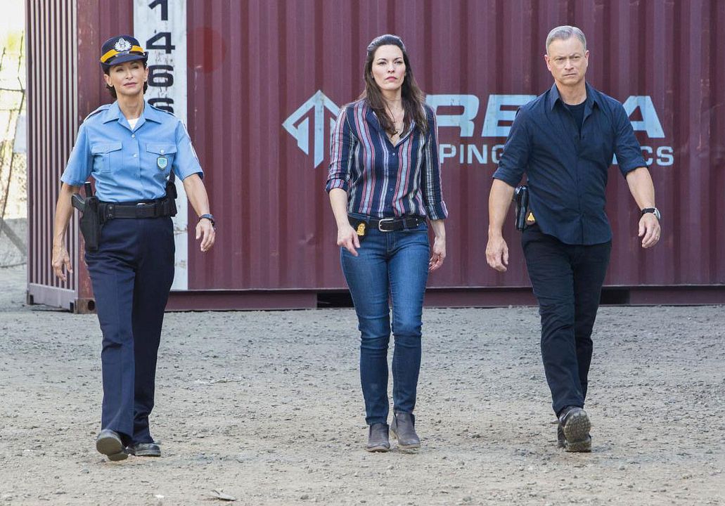 Mentes criminales: sin fronteras : Foto Gary Sinise