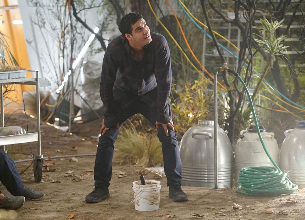 Scorpion : Foto Elyes Gabel