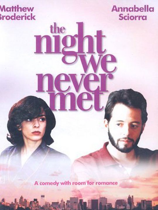 The Night we never met : Póster