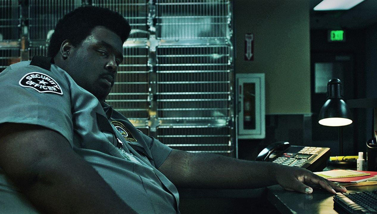 Animal de compañía : Foto