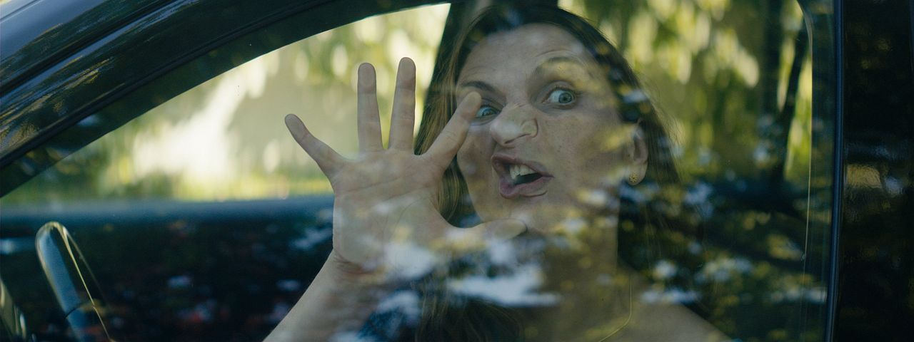 Los perros : Foto Antonia Zegers