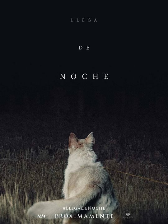 Viene de noche : Póster