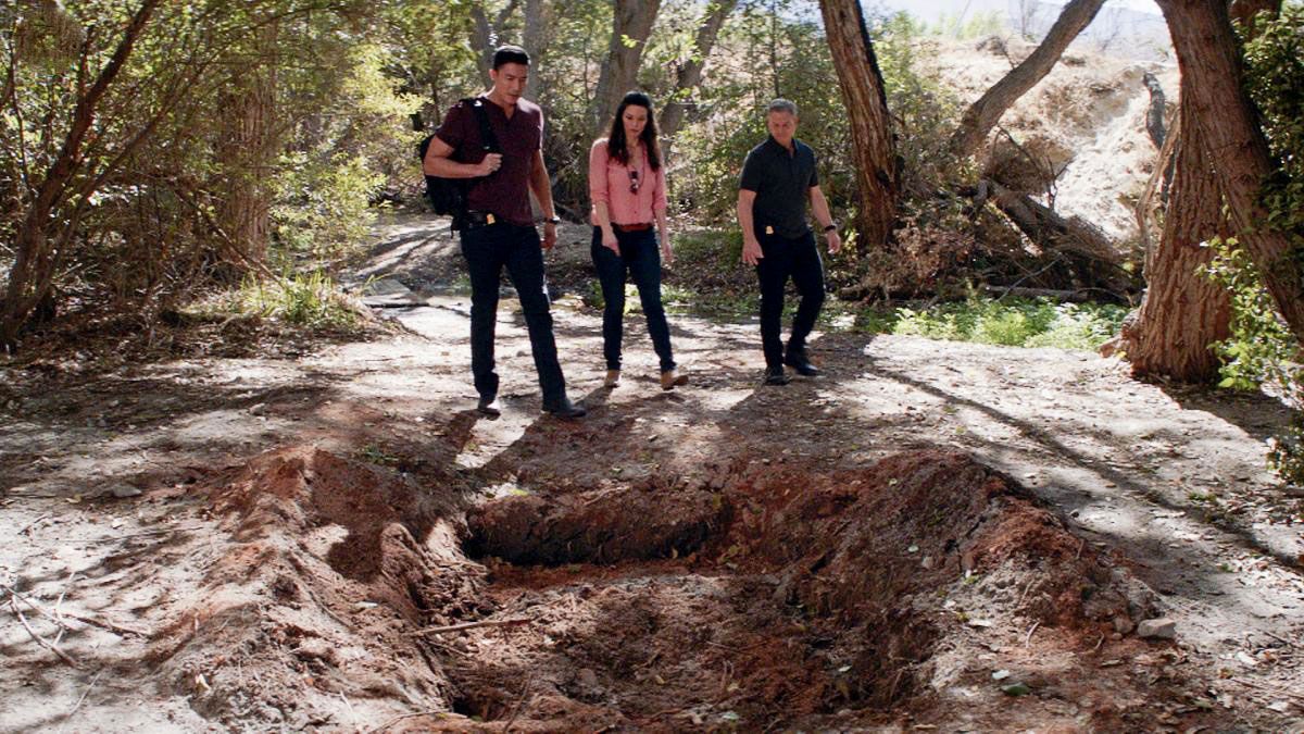 Mentes criminales: sin fronteras : Foto Gary Sinise, Daniel Henney