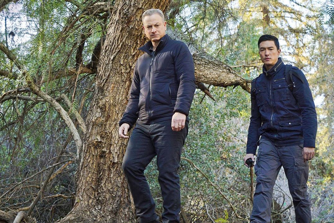 Mentes criminales: sin fronteras : Foto Gary Sinise, Daniel Henney