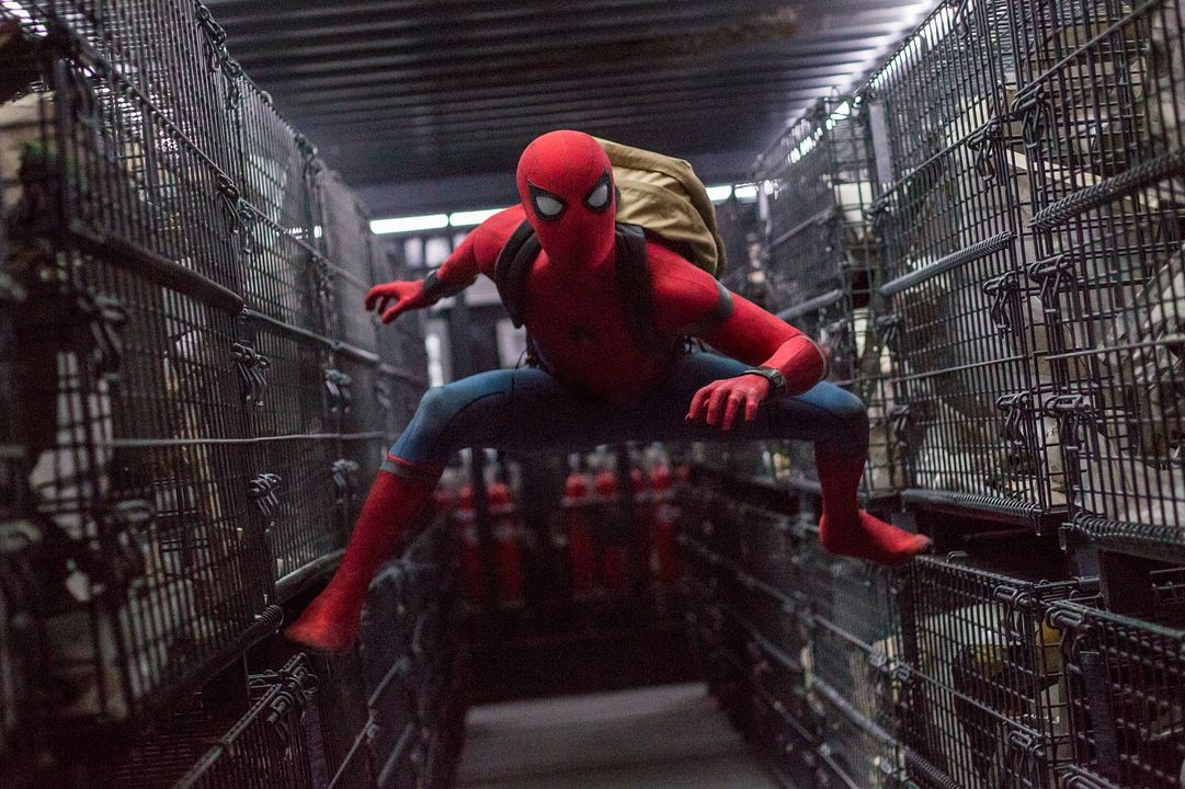 Spider-Man: De regreso a casa : Foto Tom Holland