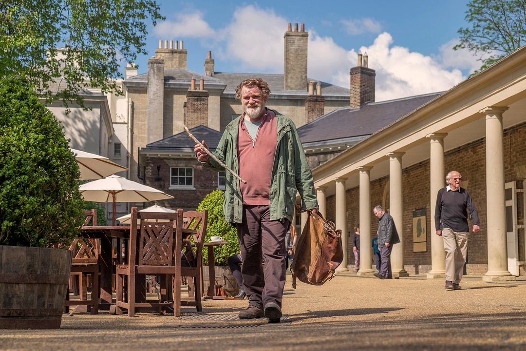 Una cita en el parque : Foto Brendan Gleeson
