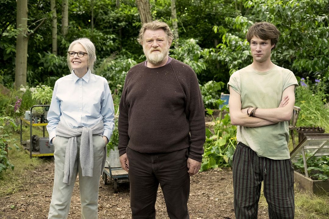 Una cita en el parque : Foto Diane Keaton, Brendan Gleeson, Hugh Skinner