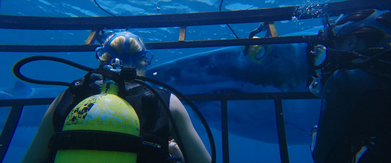 Terror a 47 metros : Foto Mandy Moore