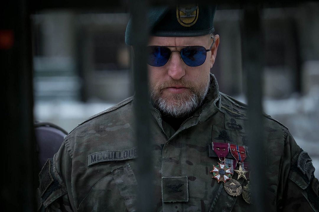 El planeta de los simios: La guerra : Foto Woody Harrelson