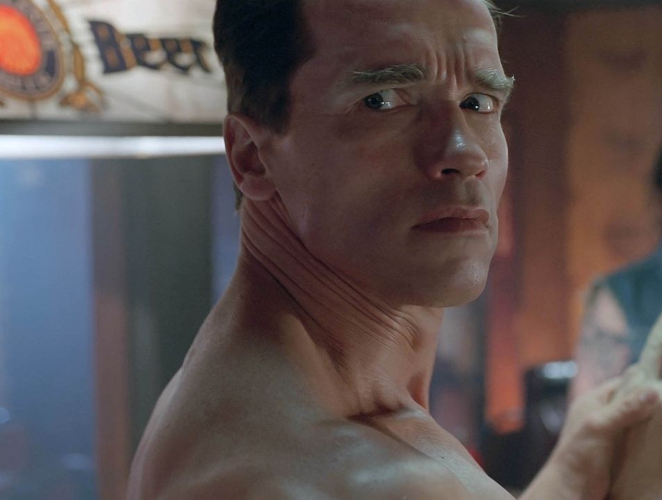 Terminator 2: El juicio final : Foto Arnold Schwarzenegger