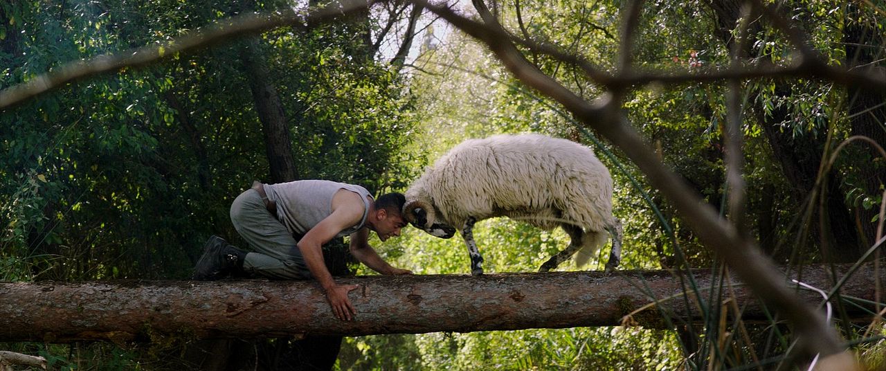 En la Vía Láctea : Foto